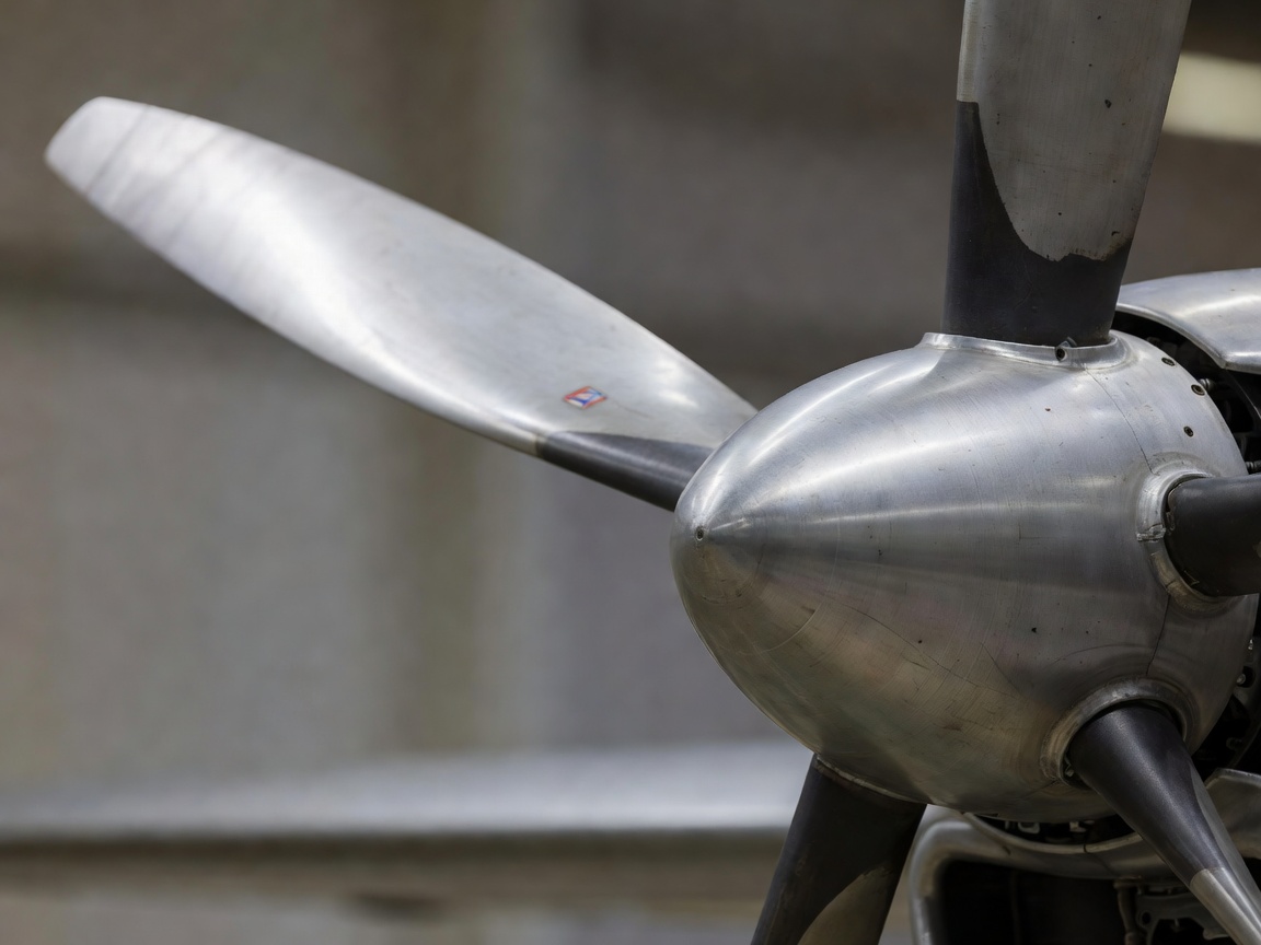 Close-up of an airplane propeller blade near its hub showing the blade’s twisted aerodynamic shape