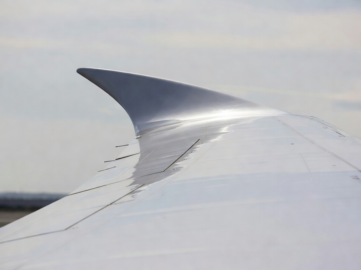 Close-up of the smooth curved upper surface and leading edge of an airplane wing