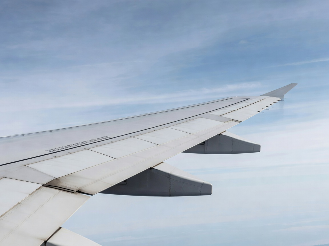 Oblique close-up of an airplane wing showing its rounded leading edge, upper surface and rear edge
